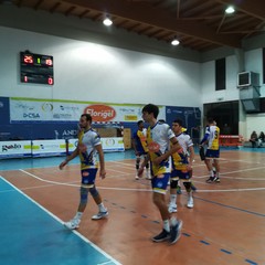 Florigel e