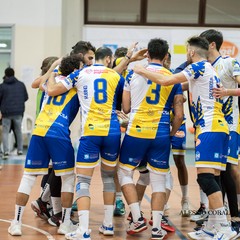 florigel vs leverano