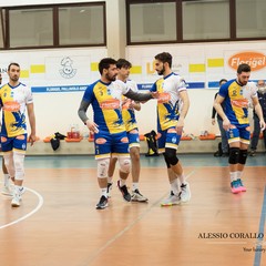 florigel vs leverano