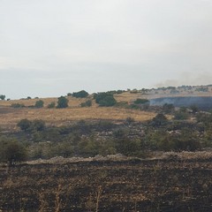 oltre 100 ettari in fumo sulla Murgia, tra Minervino ed Andria