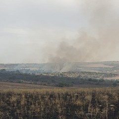 oltre 100 ettari in fumo sulla Murgia, tra Minervino ed Andria