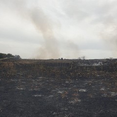 oltre 100 ettari in fumo sulla Murgia, tra Minervino ed Andria