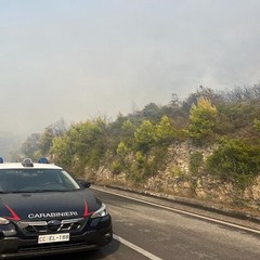 Carabinieri Forestali