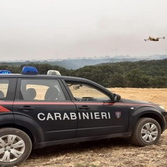Carabinieri Forestali
