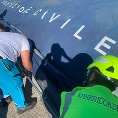 formazione servizio civile sire federazione mise puglia