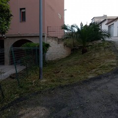 Nuovo intervento di bonifica e rimozione rifiuti in via Fornaci