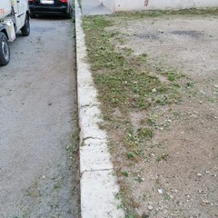 Intervento straordinario di pulizia per via Fornaci e zona della Madonna di Pompei