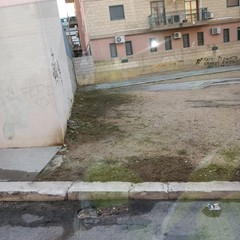 Nuovo intervento di bonifica e rimozione rifiuti in via Fornaci