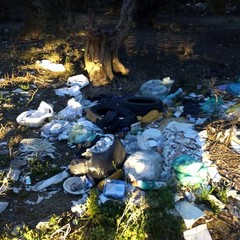 Via Giovanni Gentile: la culla dell’inciviltà di alcuni andriesi