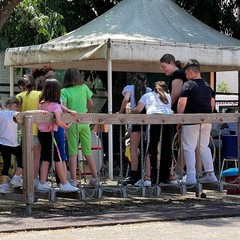 foto Pulire e non sporcare storia di una due giorni per Rifiuti Zero