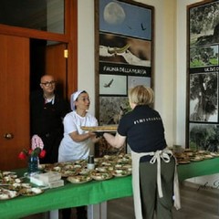 foto Pulire e non sporcare storia di una due giorni per Rifiuti Zero