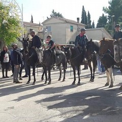 Festa di San Martino a Montegrosso