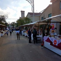 Festa di San Martino a Montegrosso