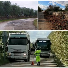 Sempre più precaria la viabilità verso Montegrosso e Canosa di Puglia
