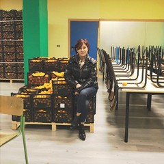 Fruttiamo per il sociale