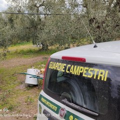 sventato furto in una villa in contrada Olivarotonda
