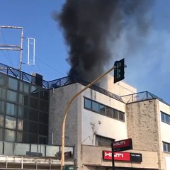 fumo azienda