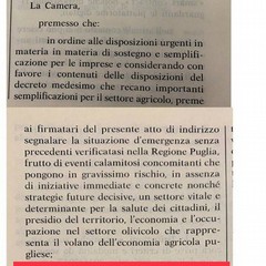 O.d.G. approvato alla Camera dei Deputati sulla questione gelate in Puglia