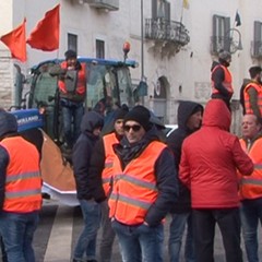 gilet andria piazza catuma