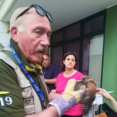 Grillaio Nesta