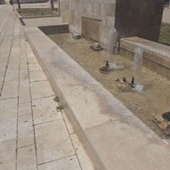 la fontana di Largo Grotte