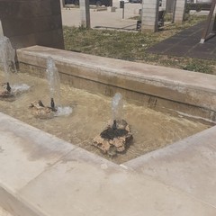 la fontana di Largo Grotte