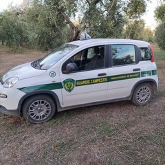 Guardie Campestri individuano e fermano tre predoni delle campagne  