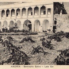 L’industria delle api e del miele nel XVIII secolo in Andria