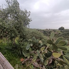 dolina di Gurgo