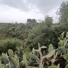 dolina di Gurgo