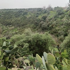 dolina di Gurgo