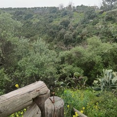 dolina di Gurgo
