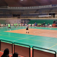 Uno sport che cresce: Riccardo Colasuonno racconta il mondo della "Fidelis Andria Handball"