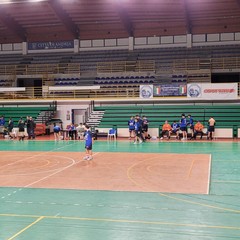 Uno sport che cresce: Riccardo Colasuonno racconta il mondo della "Fidelis Andria Handball"