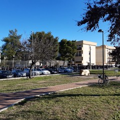 Lunga coda all'hub vaccinale di San Valentino