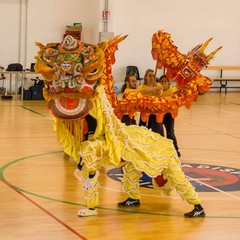 Hung Sing Kung Fu Andria a Ladispoli per il torneo nazionale