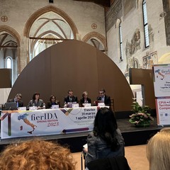 Il CPIA Bat a Fierida Spring