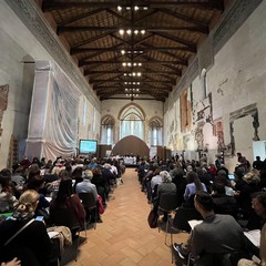 Il CPIA Bat a Fierida Spring