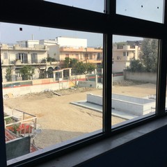 IMG JPG