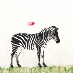 graffiti per le strade di Andria