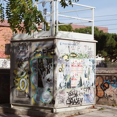 graffiti per le strade di Andria