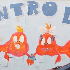 graffiti per le strade di Andria