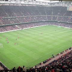 IMG JPG