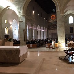 Festa della Madonna di Palestina