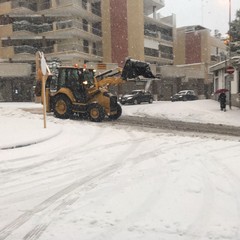 Mezzi spazzaneve e spargisale in azione ad Andria