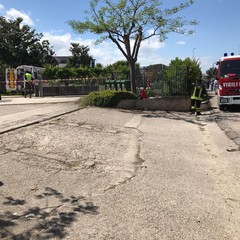 incidente stradale sp 231