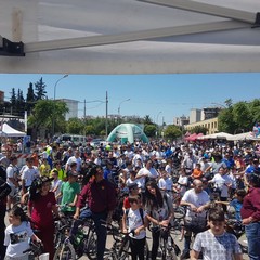 “Bimbimbici 2017”