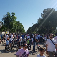 “Bimbimbici 2017”