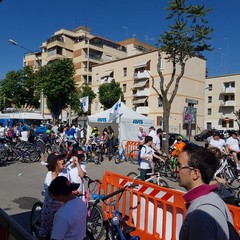 “Bimbimbici 2017”