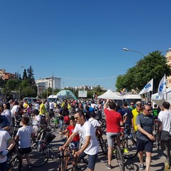 “Bimbimbici 2017”